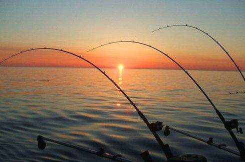 夏季库钓大鱼的爆炸钩绝招，学会渔获猛增，十有八九的人不知道
