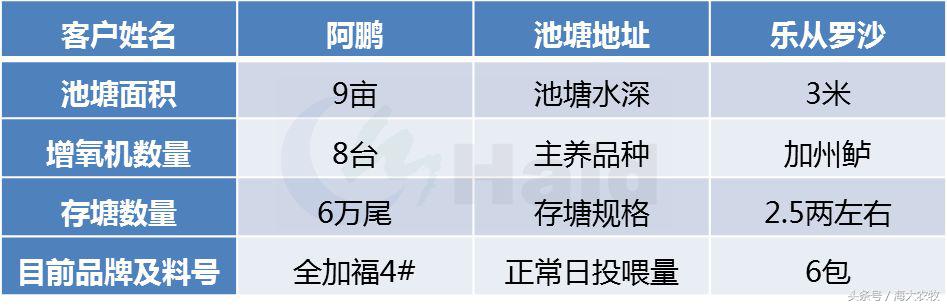 看，这就是别人家的鱼！“红润有光泽”，吃料“梆梆声”！