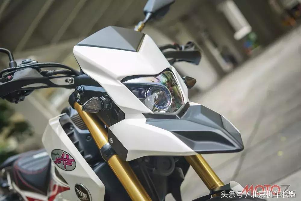 混血小猴子的视频,混血宝宝小猴子