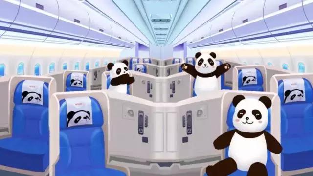 川航三优熊猫,四川航空认养大熊猫