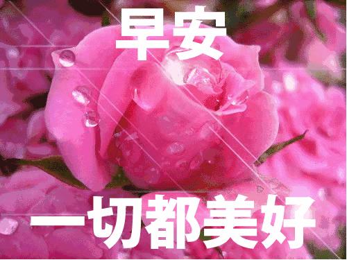 今天周末,哈哈,起床啦,早安!