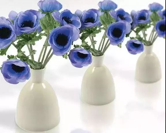 22年世界杯各国球衣,世界杯各国球衣上都有几颗星