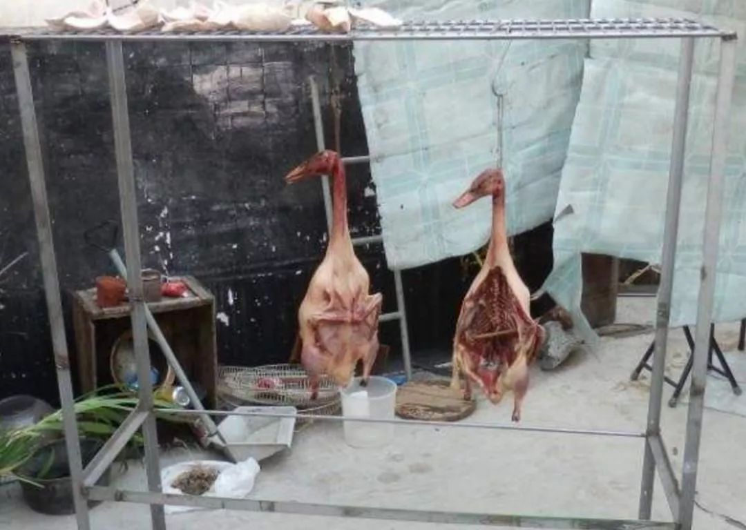 美斯食波饼、炒芥兰、鱼生粥、挂腊鸭……越听越想流口水，确定是场世界杯？