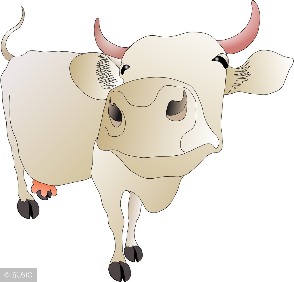 73年的生肖牛运势详解,生肖牛73年哪几个月财运最好