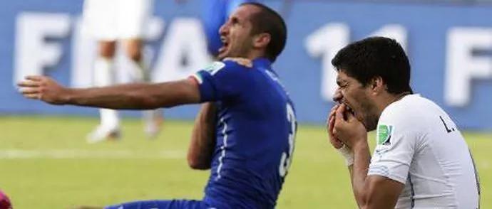 乌拉圭足球世界杯巅峰时期,聚焦世界杯法国