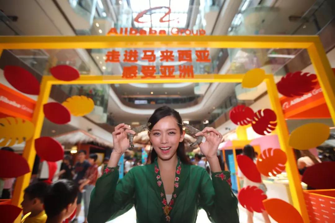 马来西亚再传捷报！燕窝榴莲疯狂暴涨，阿里巴巴王牌亮剑