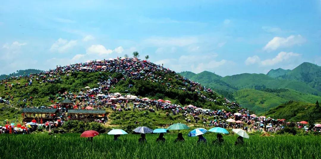 贵州余庆的发展,贵州余庆县经济怎样