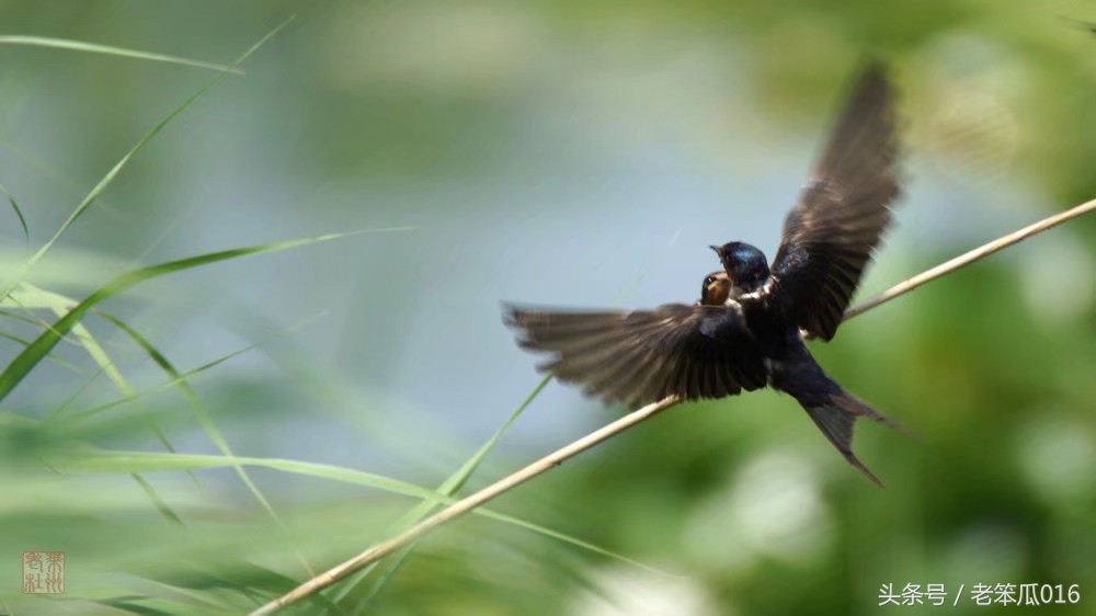 面试语文老师要准备一些什么,语文教师面试技巧
