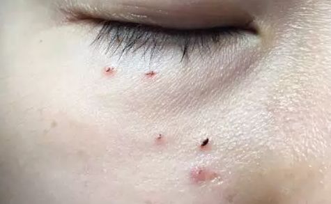 有了它再也不用担心饭菜凉了,有了它再也不用担心吃多了长肉