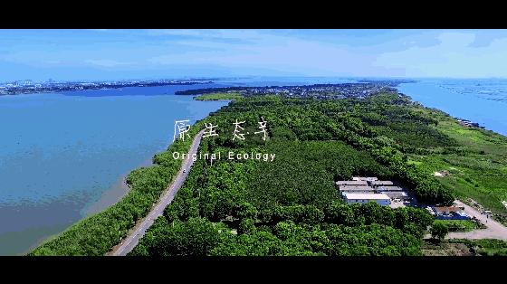 人人都说阳澄湖好，我却只想和你在这慢慢变老