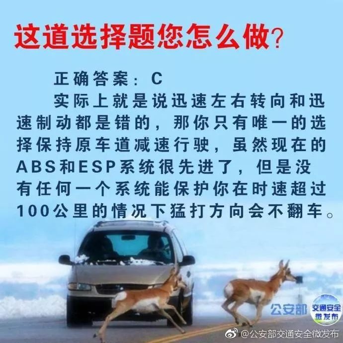 高速知识贴,高速撞死小动物怎么化解