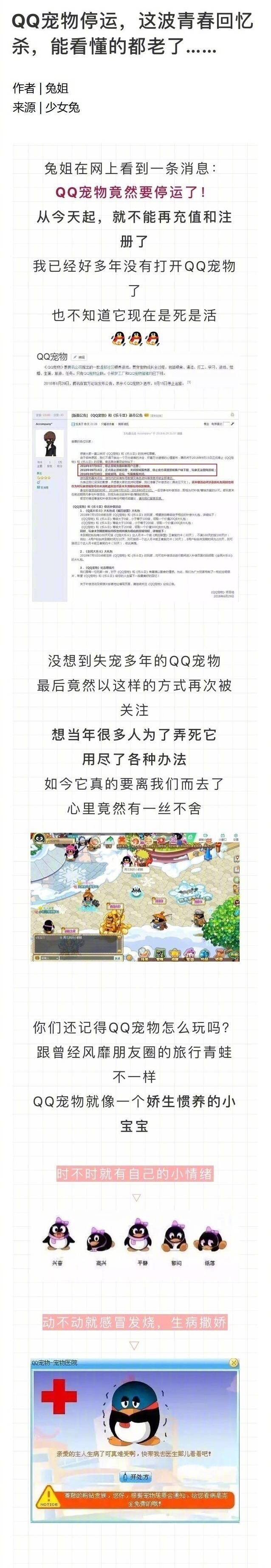 qq宠物停运了还可以玩吗,qq宠物停运视频
