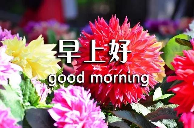 短句真诚问候祝你早上愉快,祝你开心早安心语