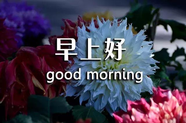 短句真诚问候祝你早上愉快,祝你开心早安心语