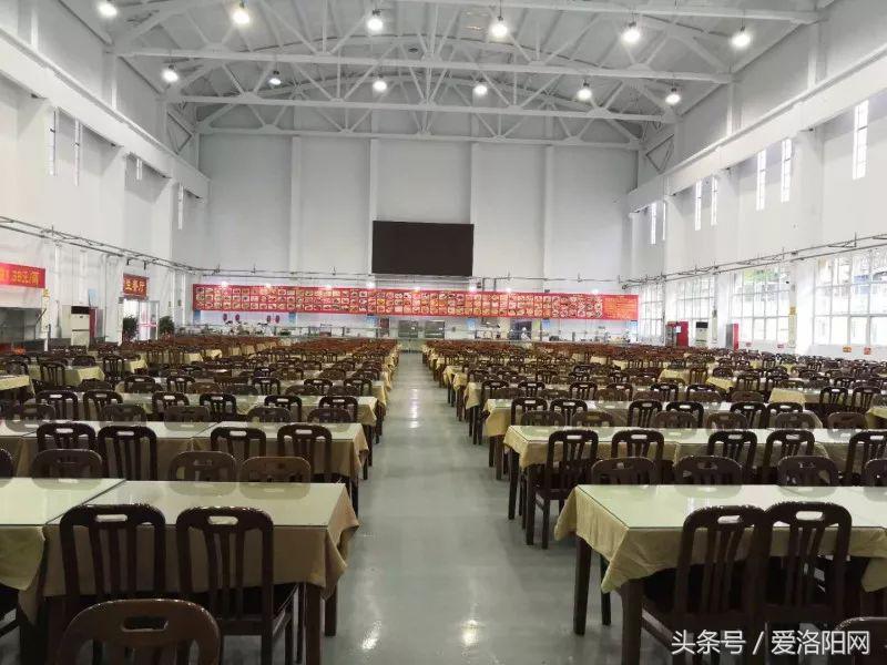 再见再见渡边淳一小说简介,再见原作