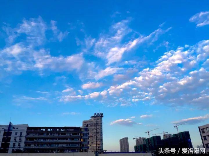 再见再见渡边淳一小说简介,再见原作