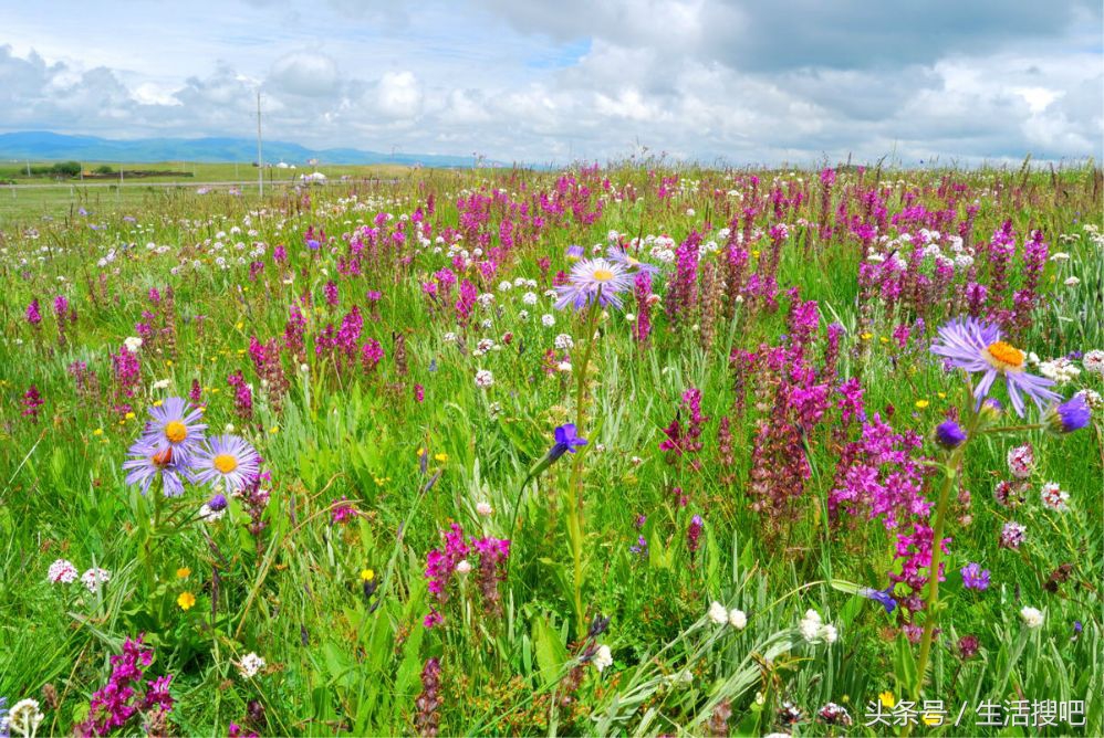 色达旅游攻略自驾游最佳路线图,色达旅游攻略自驾游详细介绍