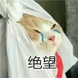 俄罗斯菜难吃,哪里俄罗斯菜好吃