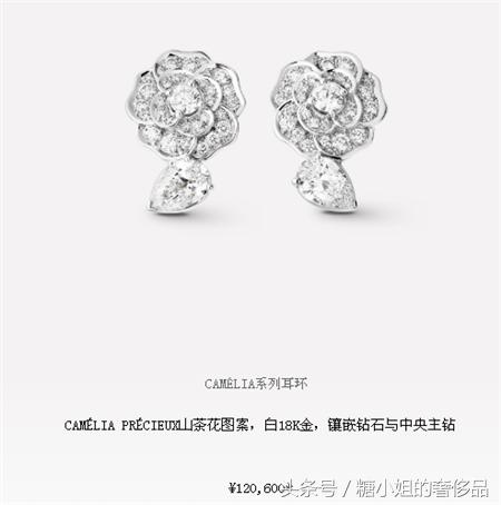 香奈儿耳环多少钱,香奈儿的耳环大概是什么价位