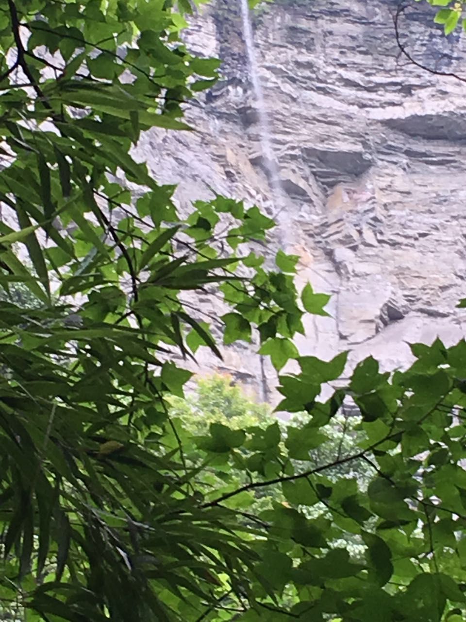 佛山刺激的游乐项目一日游,佛山一日游最刺激的地方