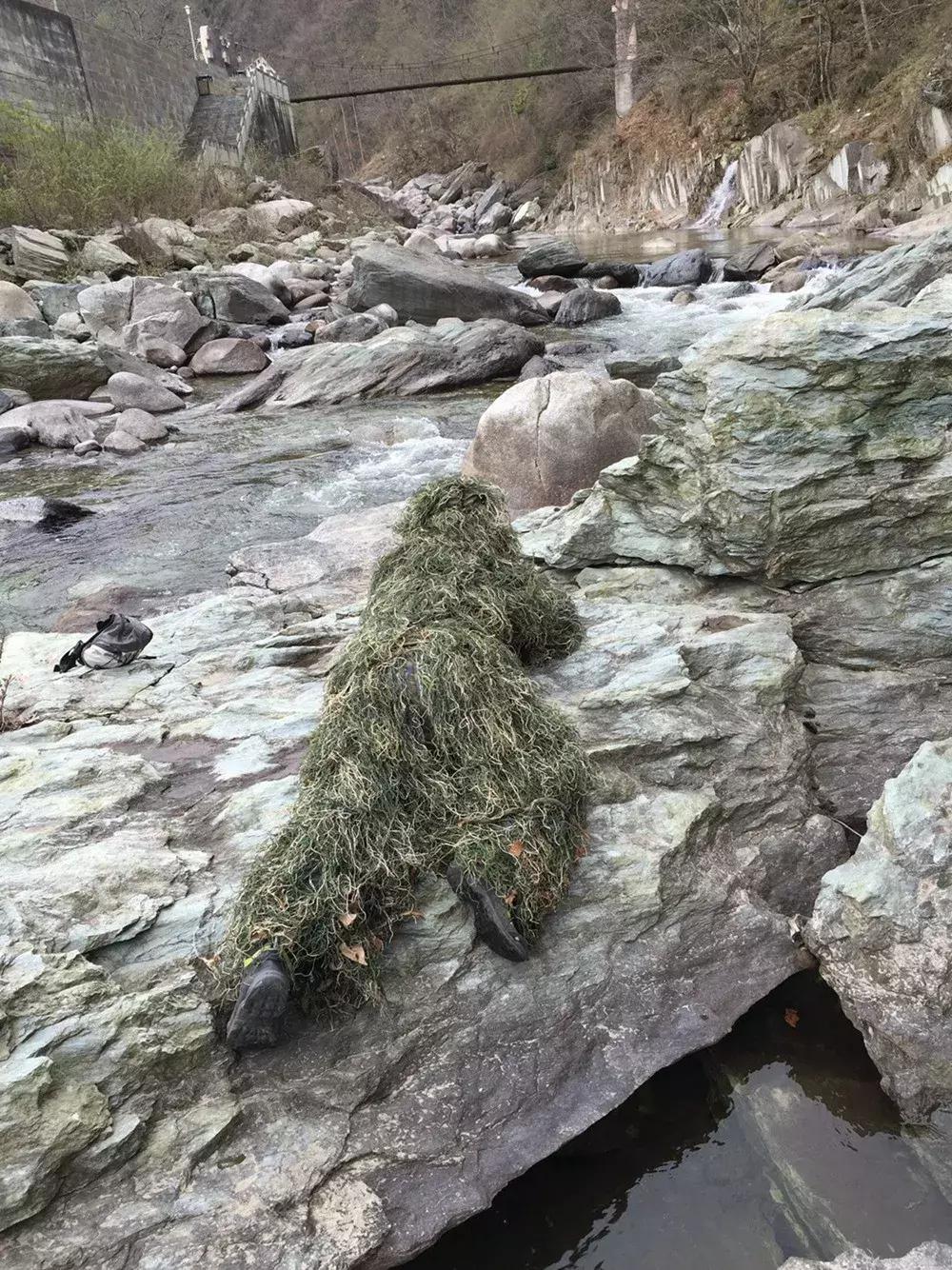 面对尸体，在野外这些野生动物会有什么反应