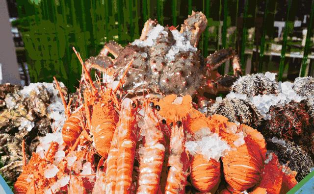 郫都区吃住两天一夜一体农家乐,郫都农家乐垂钓休闲一体