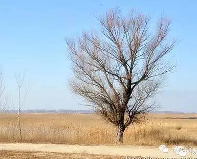 音乐收藏推荐,最适合旅行听的20首歌