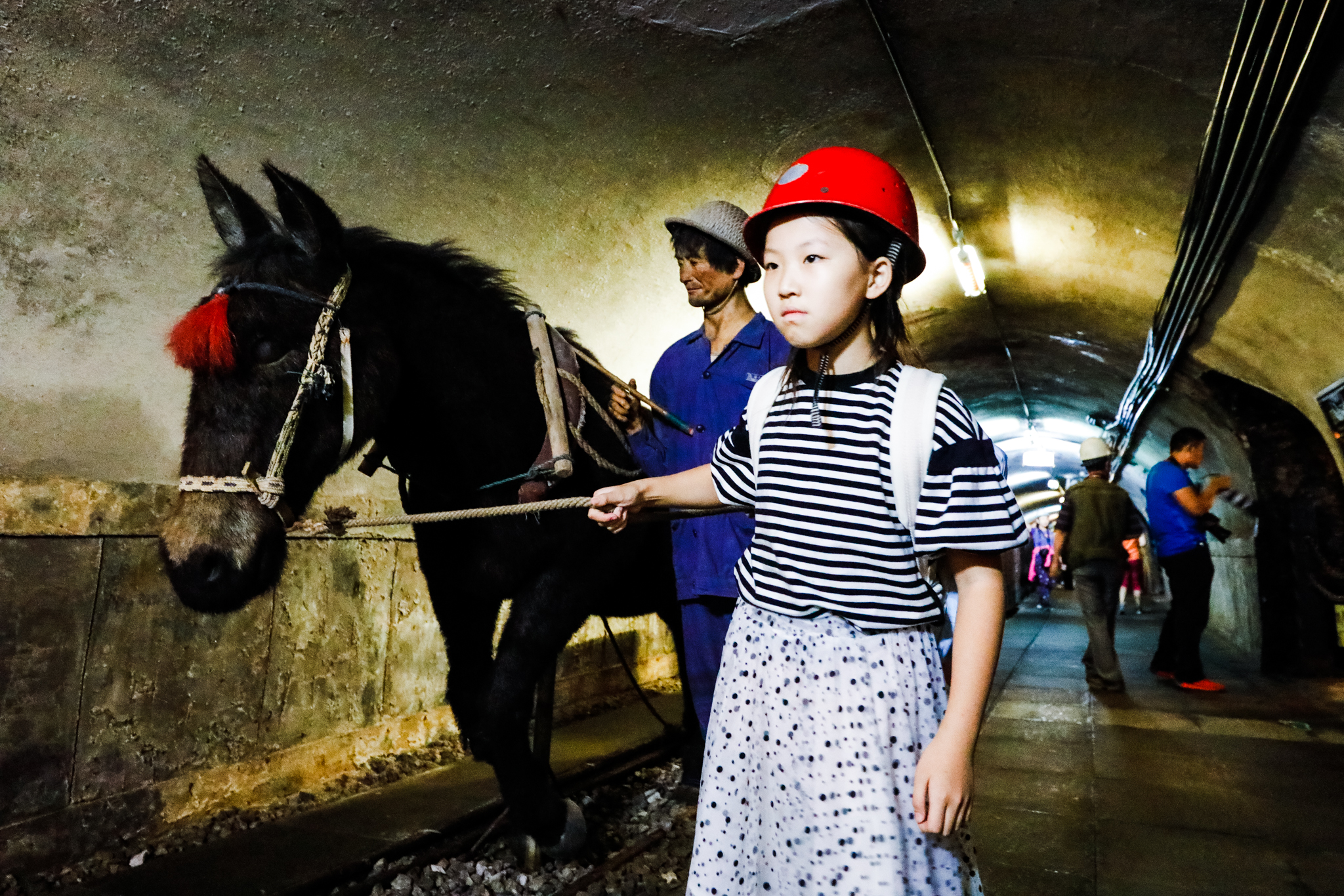 唐山研学好去处,唐山研学游