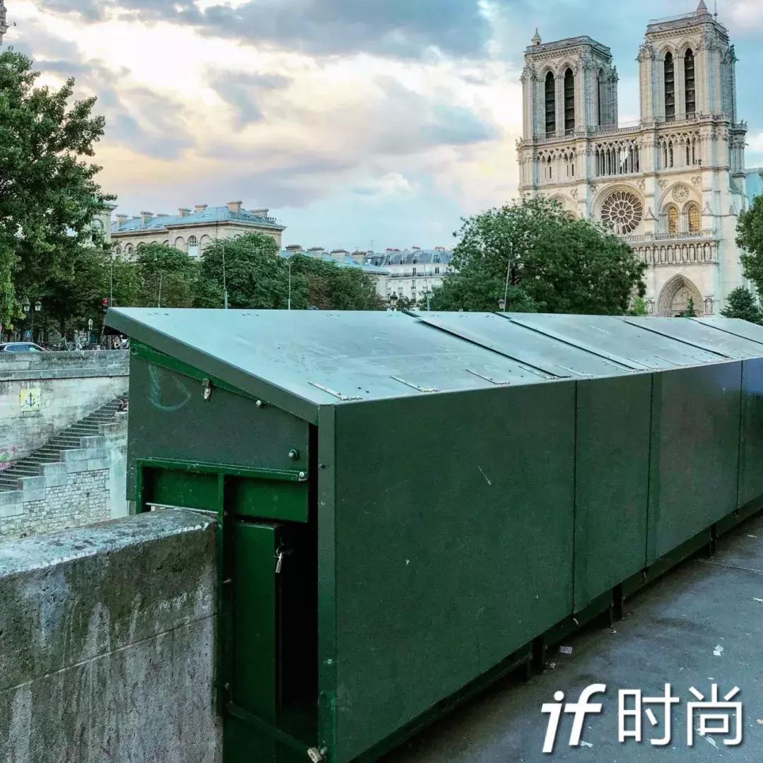 章子怡惊艳摩纳哥玫瑰舞会,章子怡无悬念问鼎影后桂冠