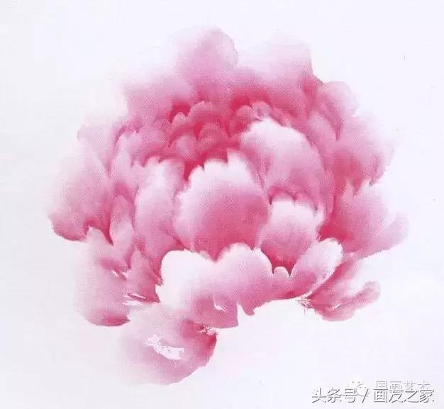 画写意牡丹用生宣纸还是熟宣纸,画写意牡丹用什么毛笔最好