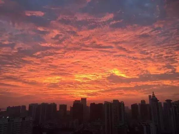 我叫深圳，这是我的个人简历，请查看！