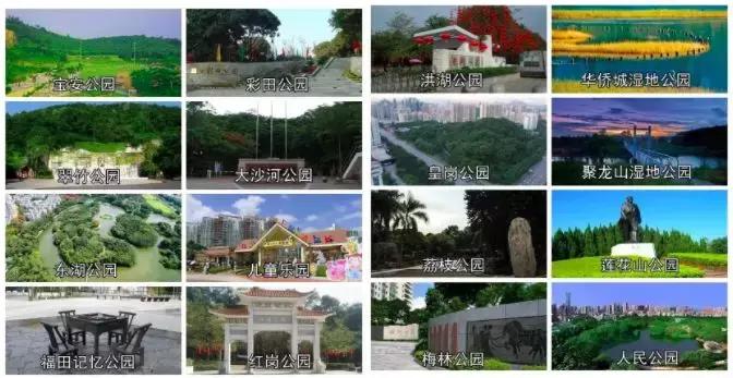 我叫深圳,这是我的个人简历,请查看!