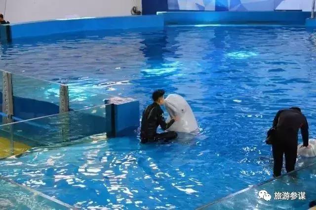 吉林省水乐园,吉林适合夏天去的游乐场