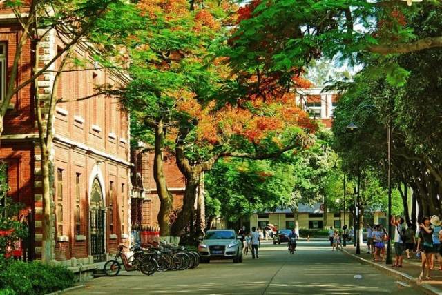 最新厦门六日游攻略,厦门六日游全攻略