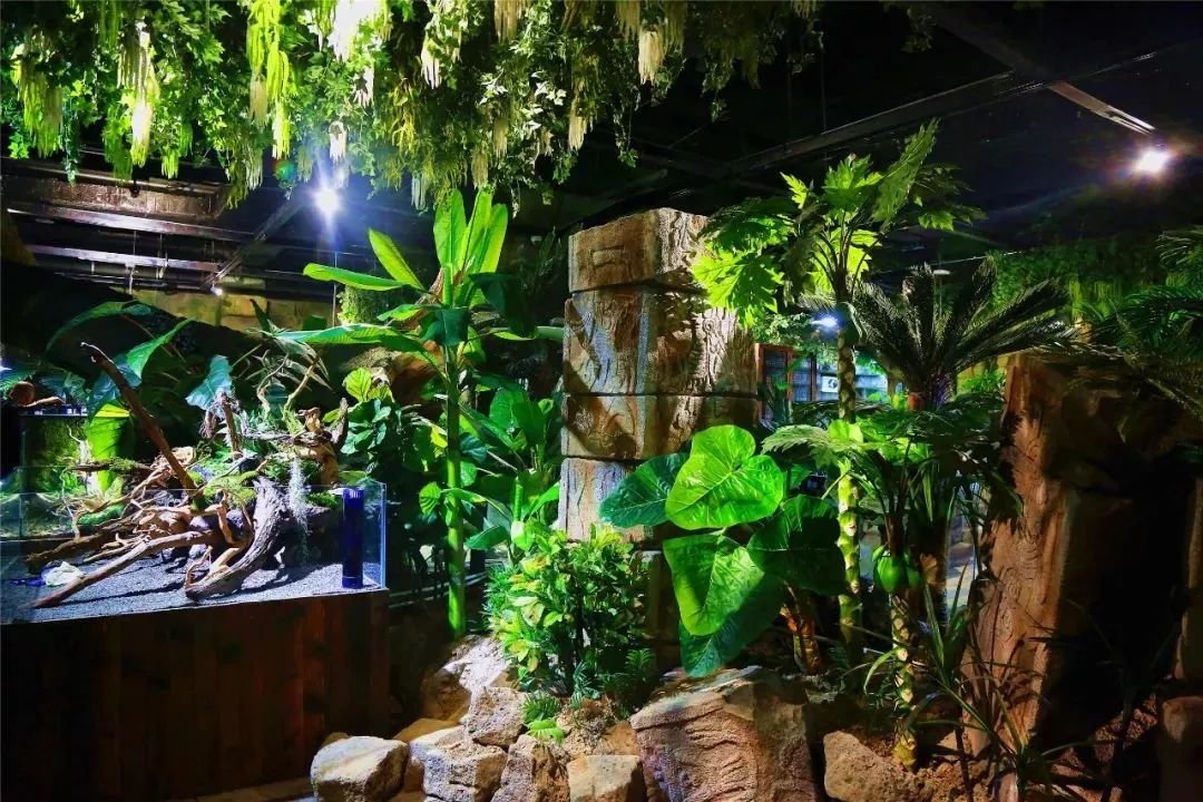 澶嶅崕鏈潵骞垮満,闈掑矝澶嶅崕鏈潵骞垮満