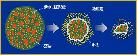 医生推荐：缓释、控释制剂用药总结（硝苯地平控释片）