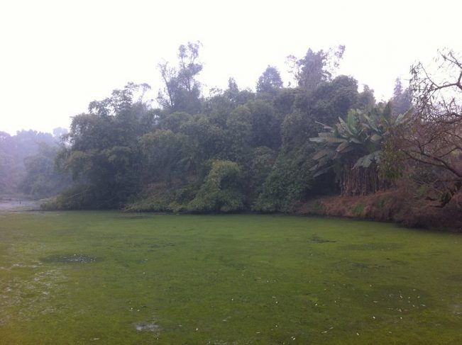 朋友讲述自己经历的灵异故事,亲戚朋友讲述真实经历