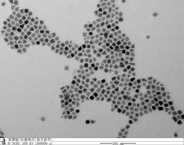 微观世界|这样的世界杯,你见过吗?