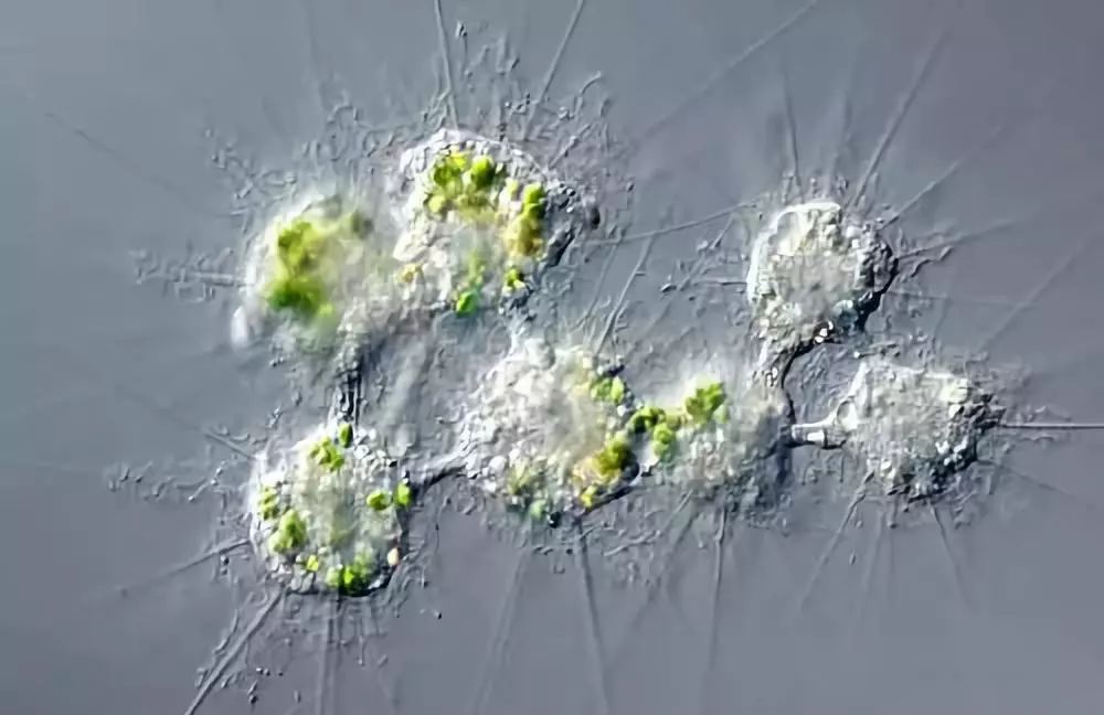 要记住这些开车技巧,老司机摸爬滚打的30个行车忠告