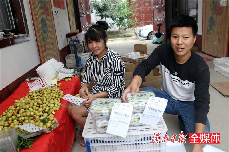 日销冬枣240吨！冬枣之乡大荔安仁电商生意火