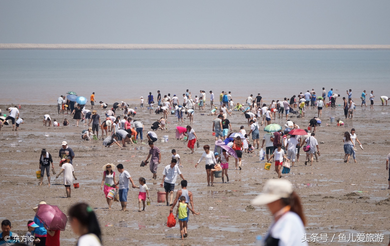 东疆港和北戴河哪个好玩,两宝妈带孩子自驾游
