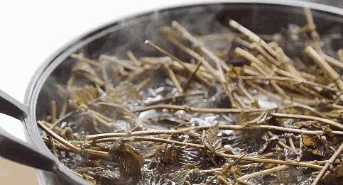 龟苓膏和冰粉哪个适合夏天好吃,龟苓膏黑凉粉和仙草冻的区别