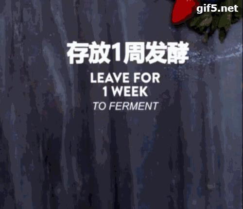 果味利口酒怎么做,黄皮利口酒的制作方法