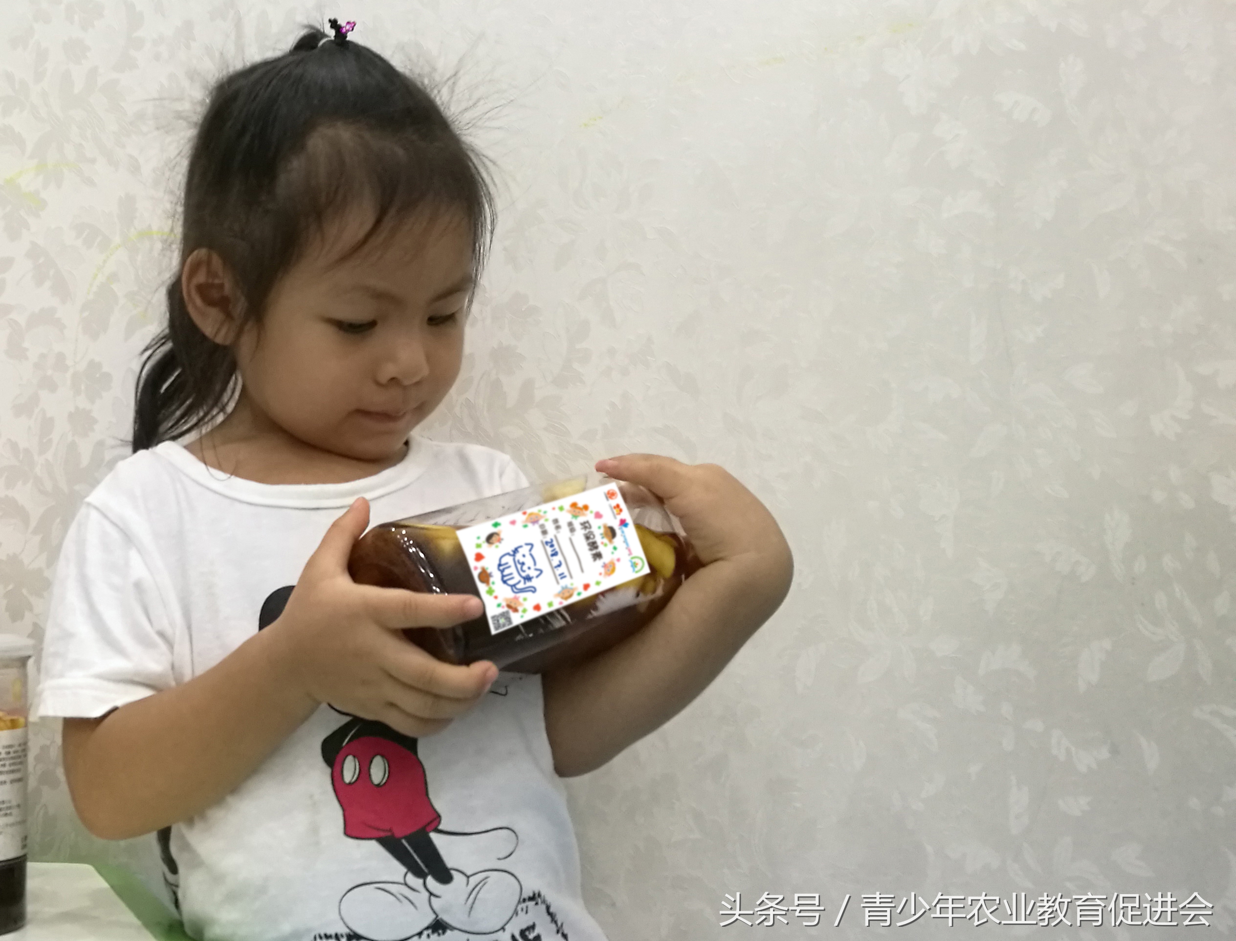 早教公益课堂记录,早教公益课活动目的