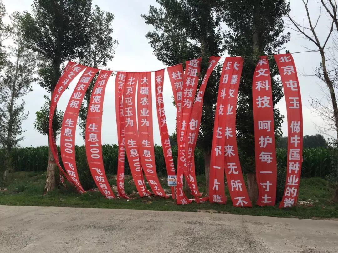 10万亩作业，大疆农业携手北京屯玉，保卫通辽玉米