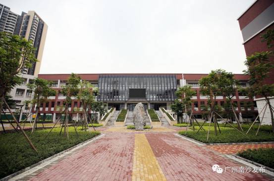 小伙查到高考成绩416分985稳了,东涌中学小升初2020录取分数