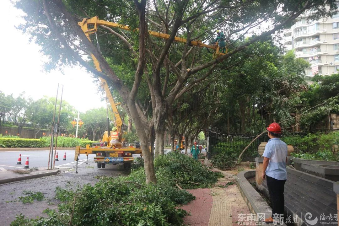玛利亚台风最新消息,玛利亚的暴风雨