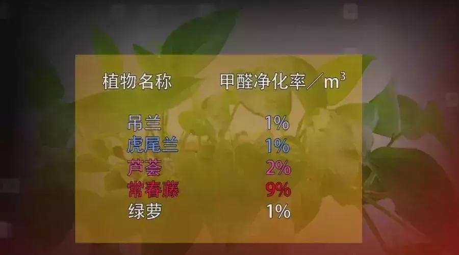 我不是药神白血病学名,我不是药神讲的什么白血病