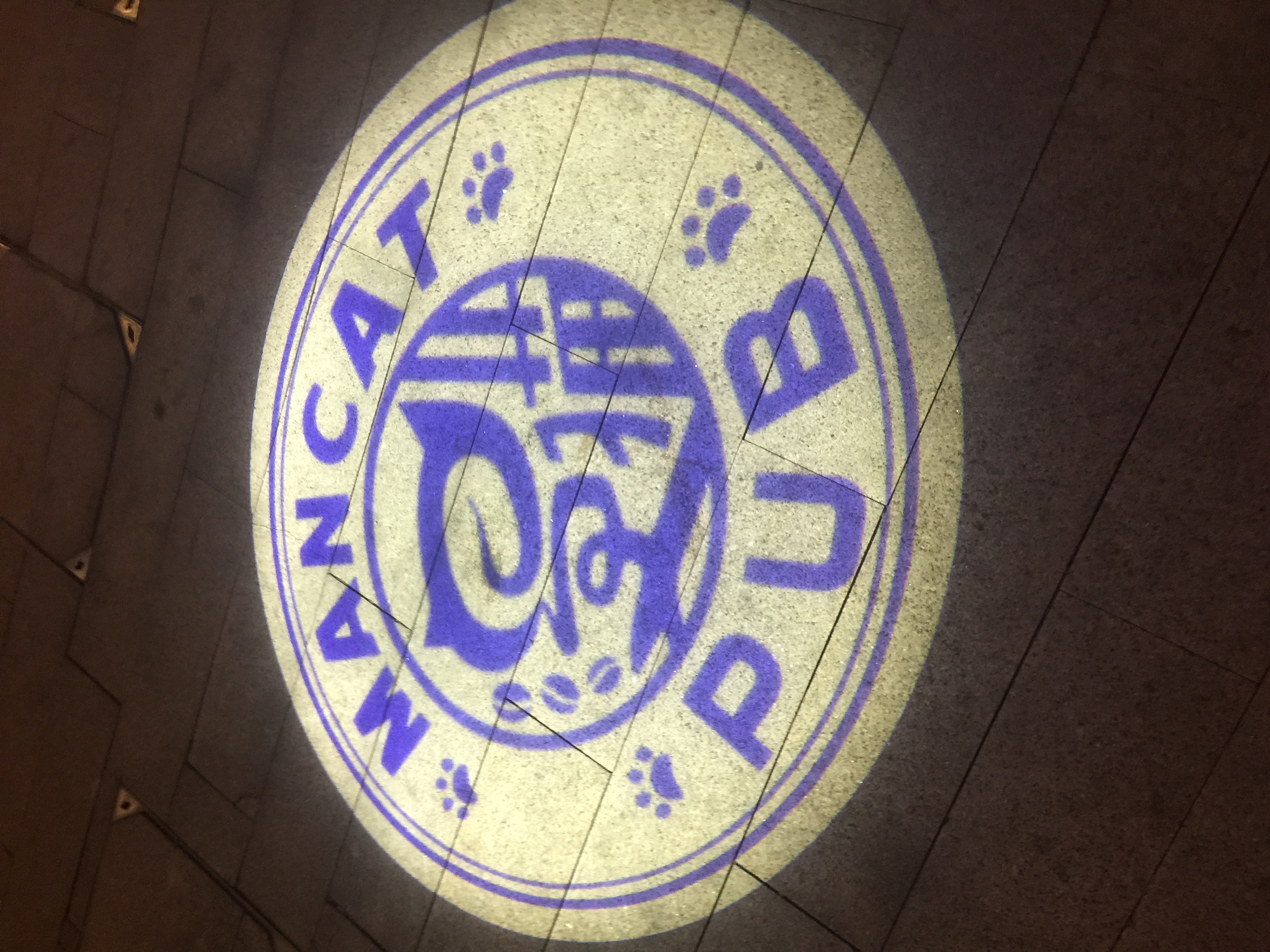 漫猫咖啡视频,漫猫咖啡巡店完整版