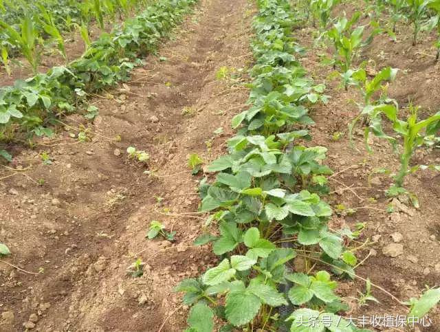 做到这7点疾病远离你,做到这7点让心血管健康一辈子